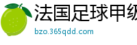 法国足球甲级联赛